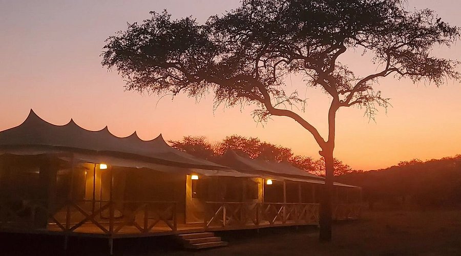 Signature Serengeti Tented Camp